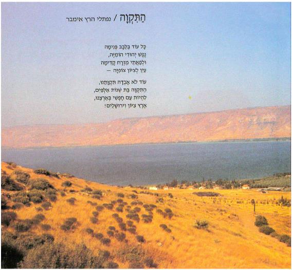 (בספר תמונה של חורף במעברה)